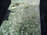 image of grave number 384177